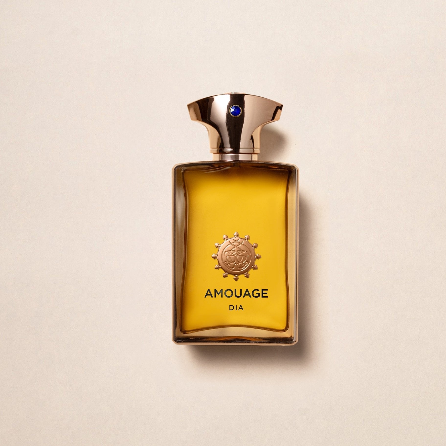 Amouage Dia EDP For Men | My Perfume Shop