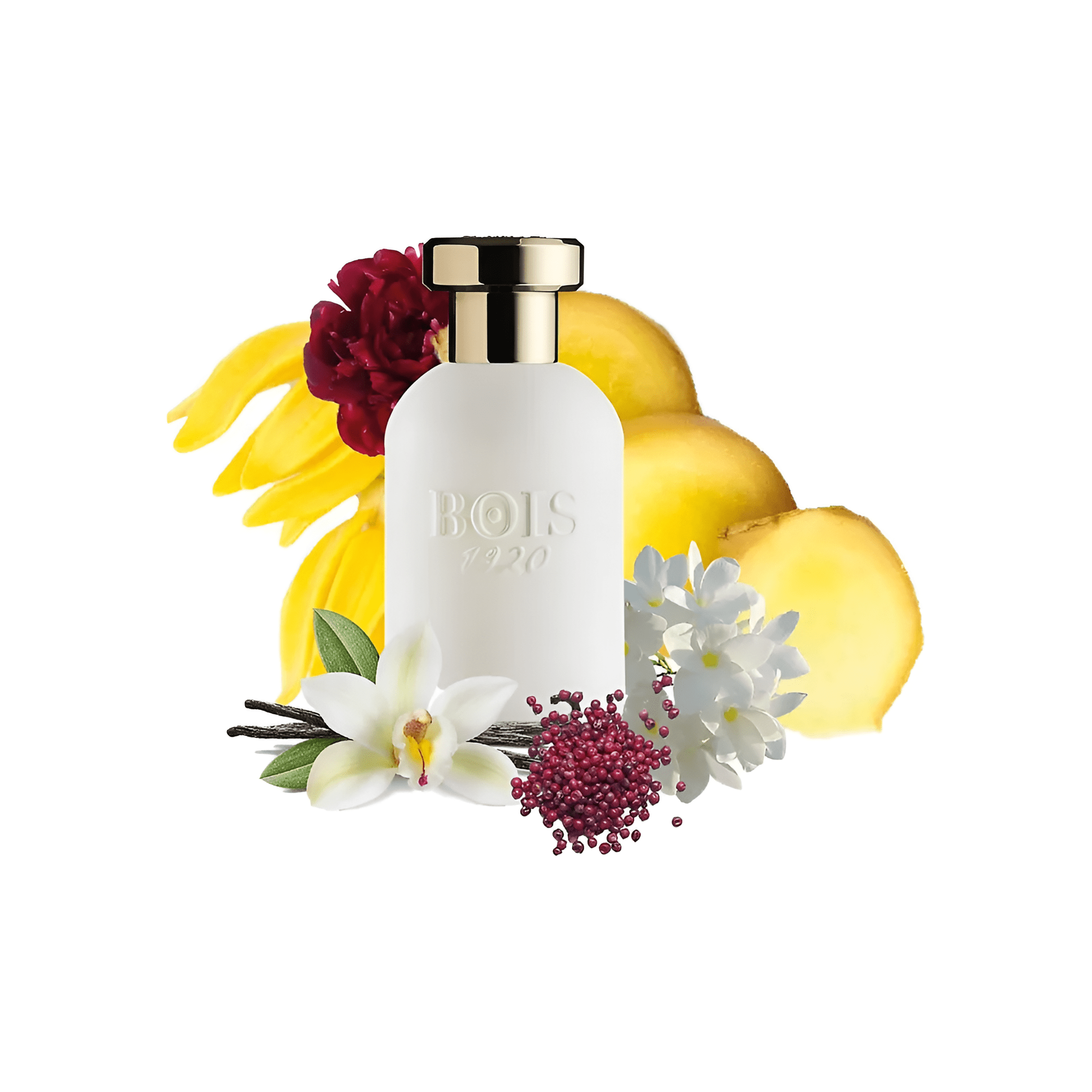 Bois 1920 Oro Bianco EDP | My Perfume Shop