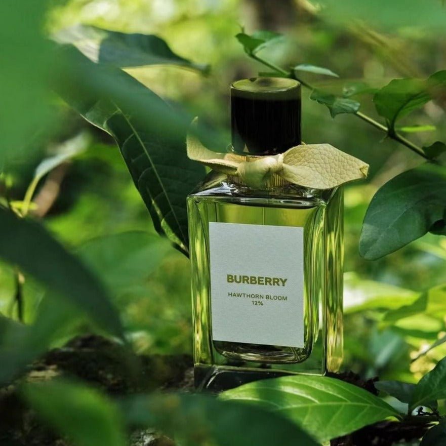 Burberry Bespoke Collection Hawthorn Bloom 12% EDP | My Perfume Shop