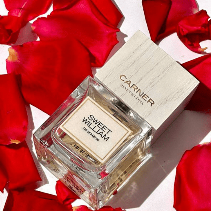 Carner Barcelona Sweet William EDP | My Perfume Shop