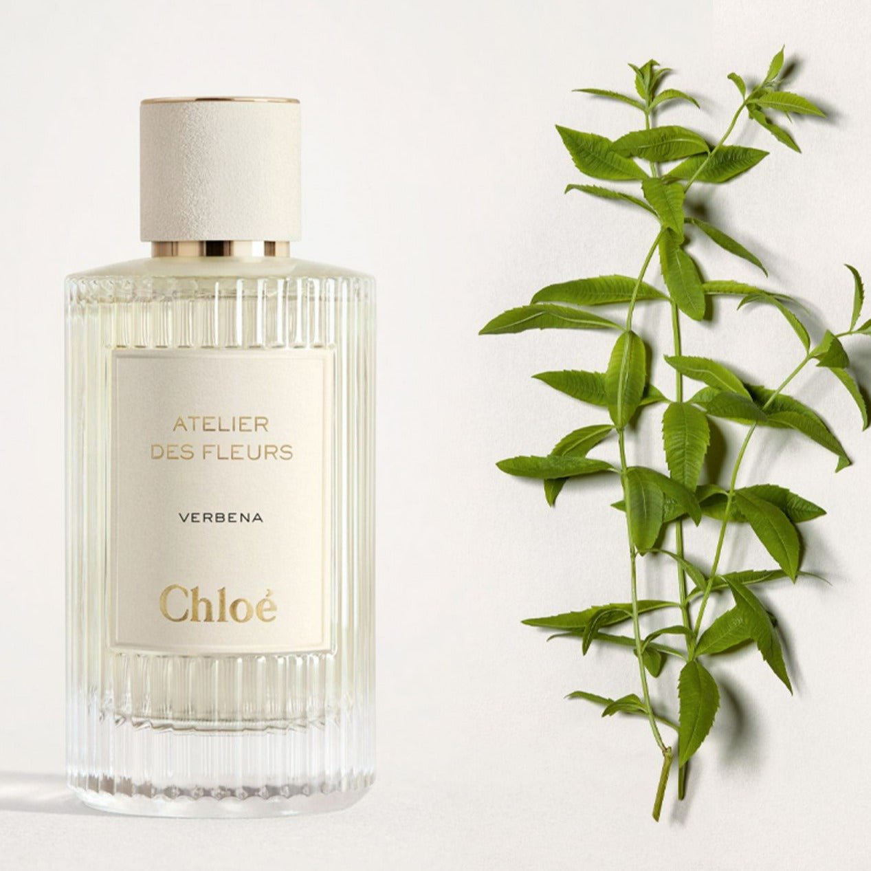 Chloe Atelier Des Fleurs Verbena EDP | My Perfume Shop