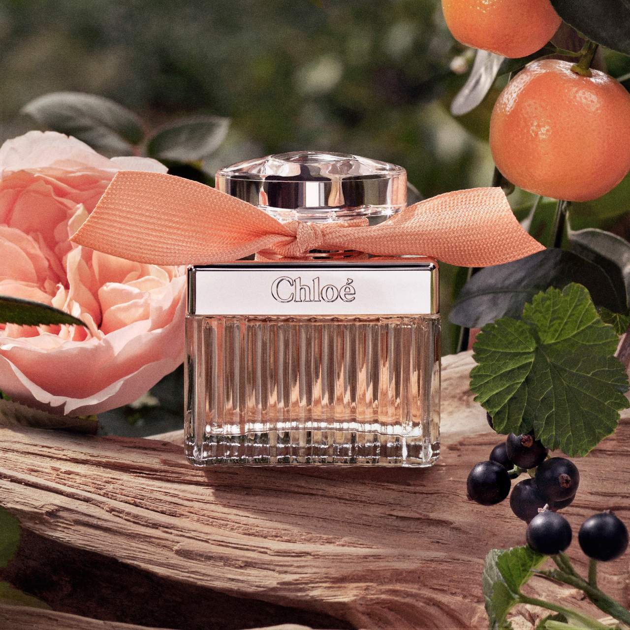 Chloe Nomade & Rose Tangerine EDP/EDT Mini Set For Women | My Perfume Shop