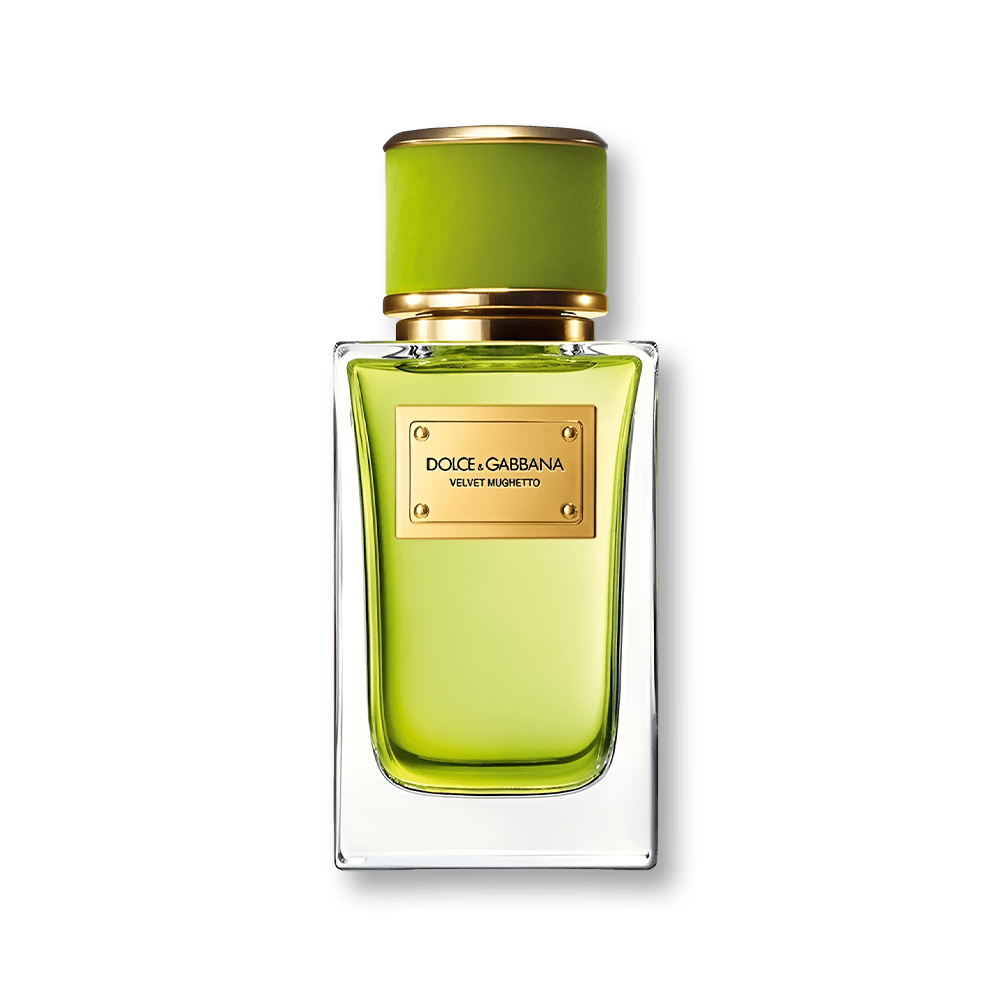 Dolce & Gabbana Velvet Mughetto EDP | My Perfume Shop