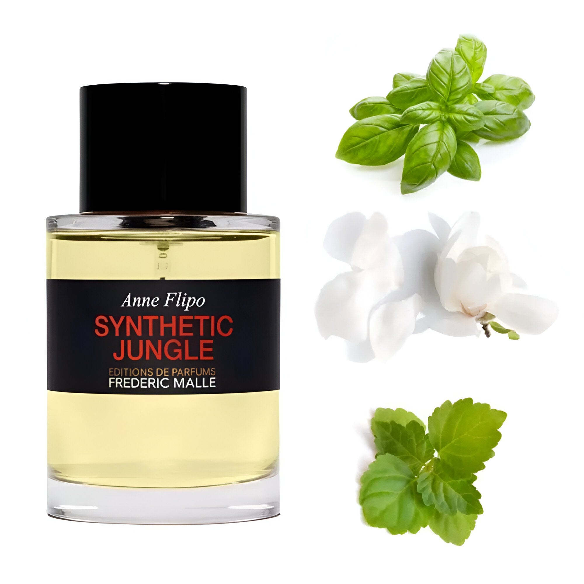 Frederic Malle Synthetic Jungle EDP | My Perfume Shop