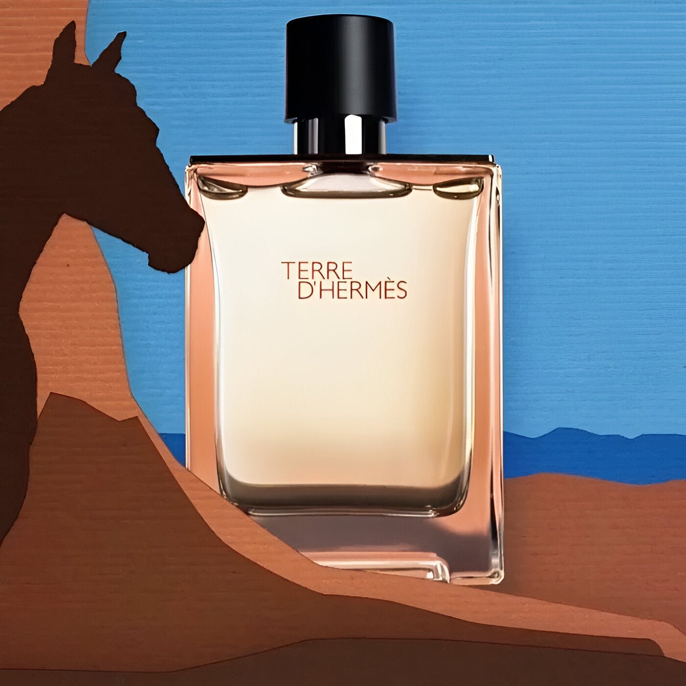 Hermes Terre D'Hermes EDT Refill Set | My Perfume Shop