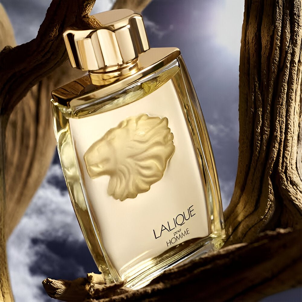 Lalique Pour Homme EDP | My Perfume Shop