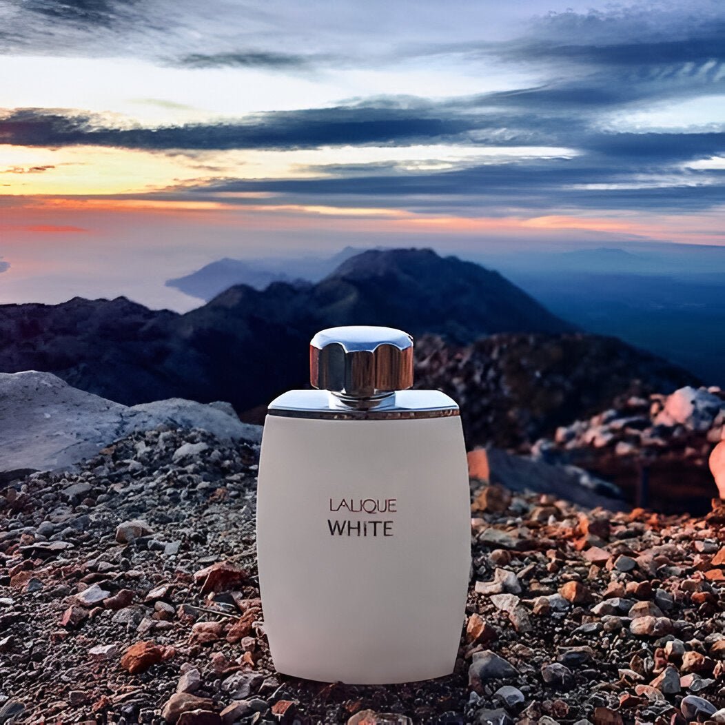 Lalique White EDT | My Perfume Shop