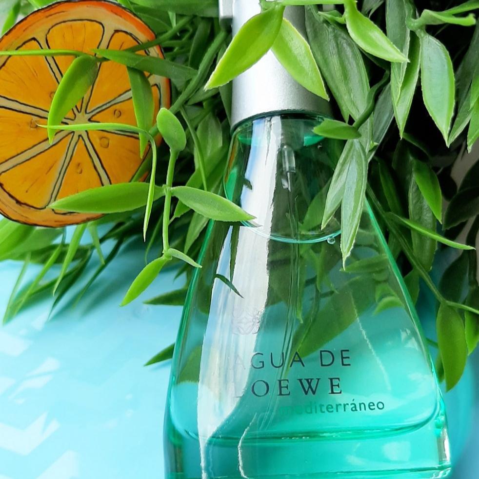 Loewe Agua De Loewe Mediterraneo EDT | My Perfume Shop