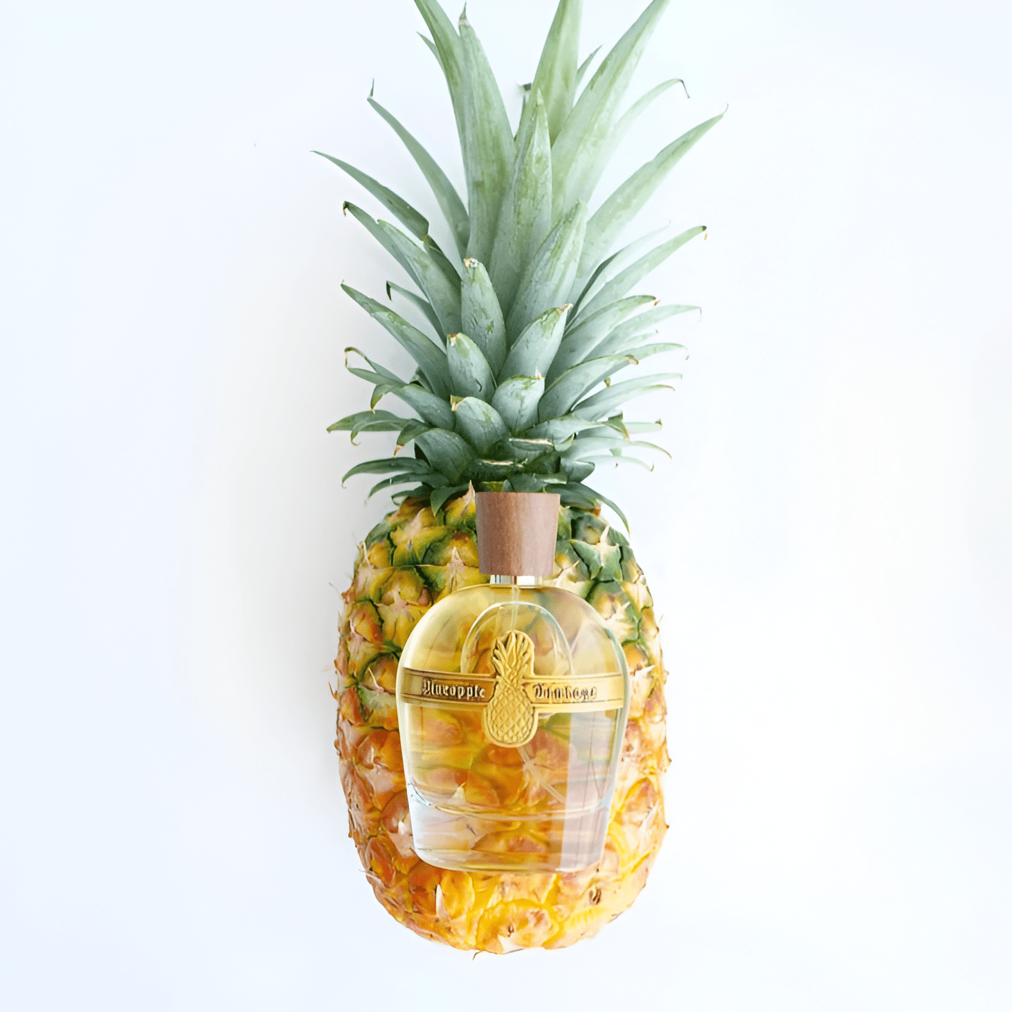 Pineapple Parfums Vintage Intense EDP | My Perfume Shop