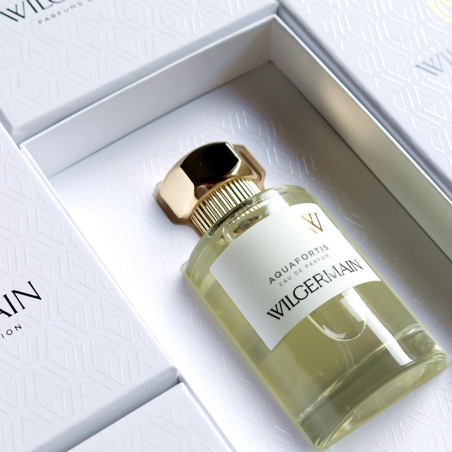 Wilgermain Aquafortis EDP | My Perfume Shop