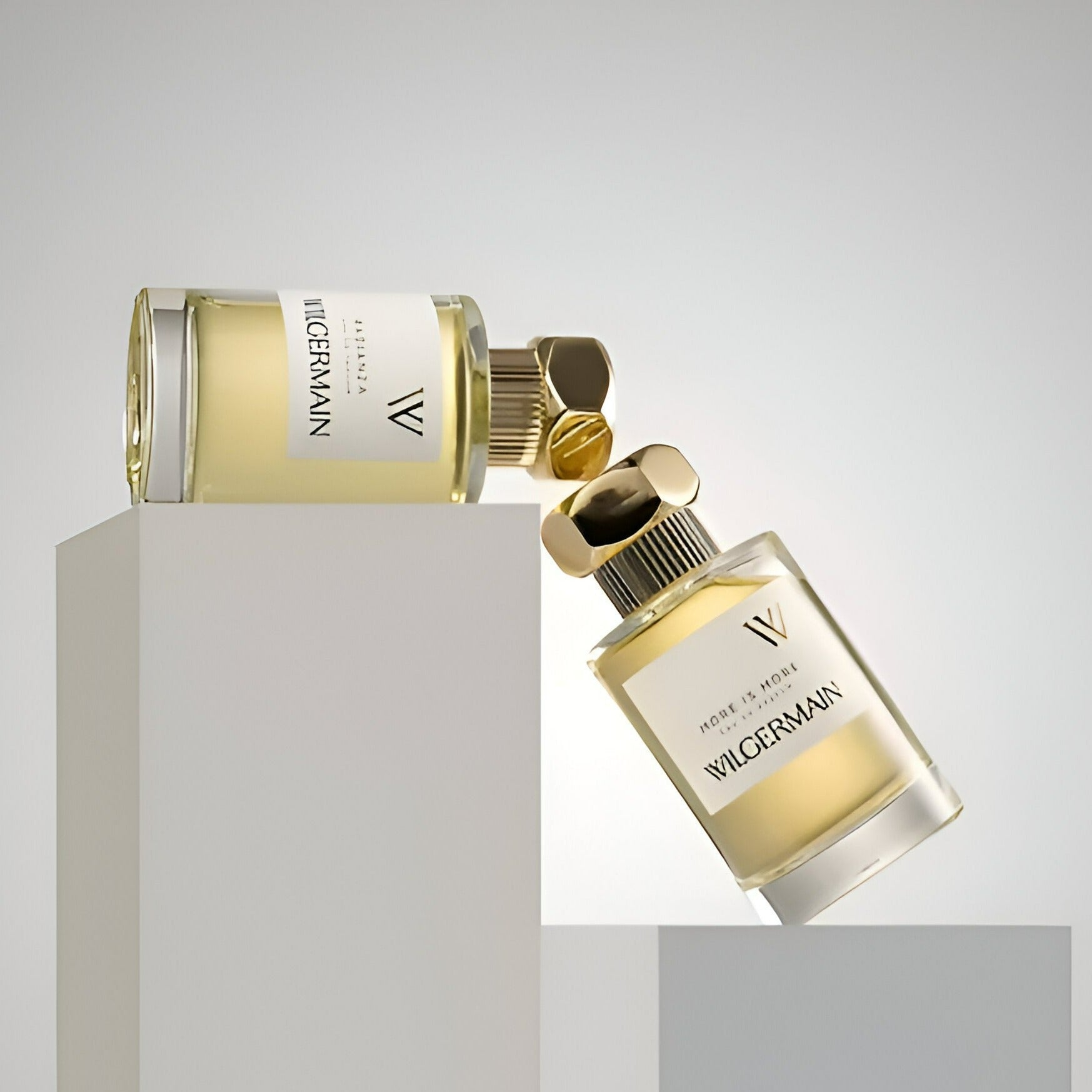 Wilgermain More Is More EDP | My Perfume Shop