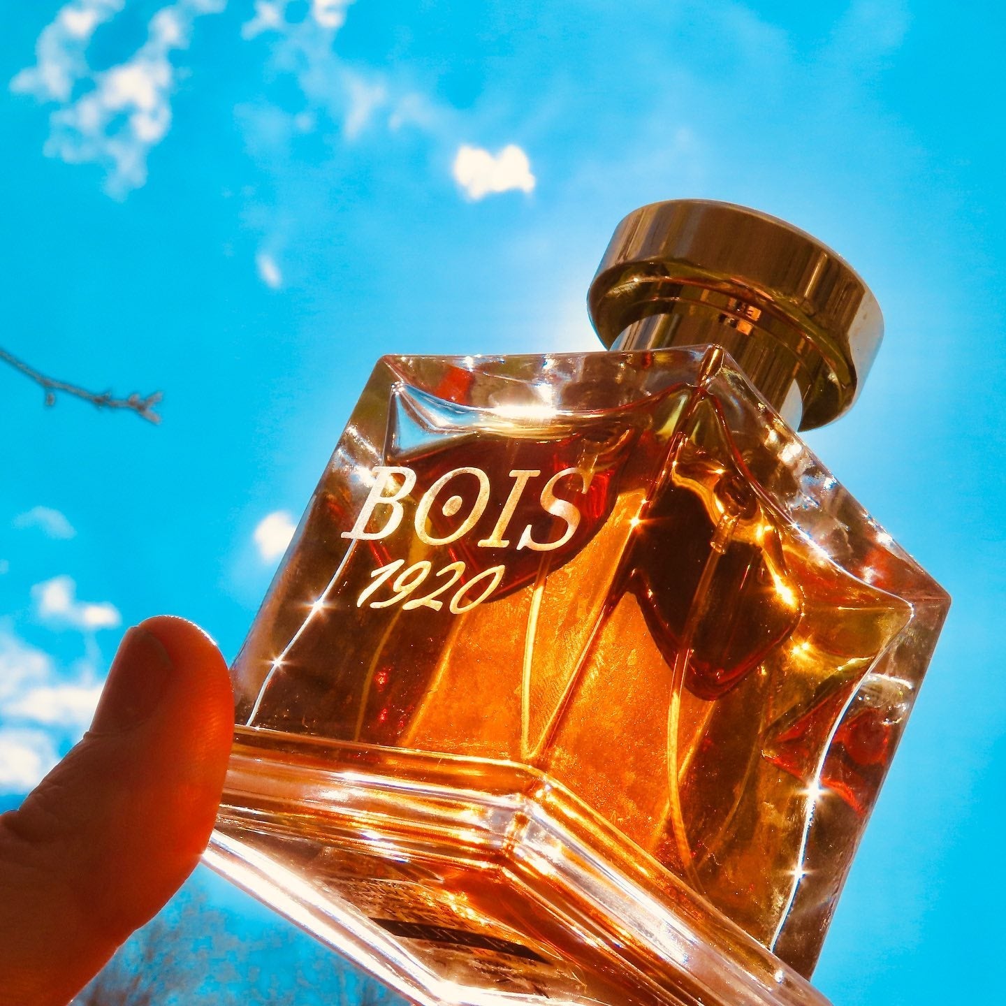 Bois 1920 Elite Iv Parfum | My Perfume Shop