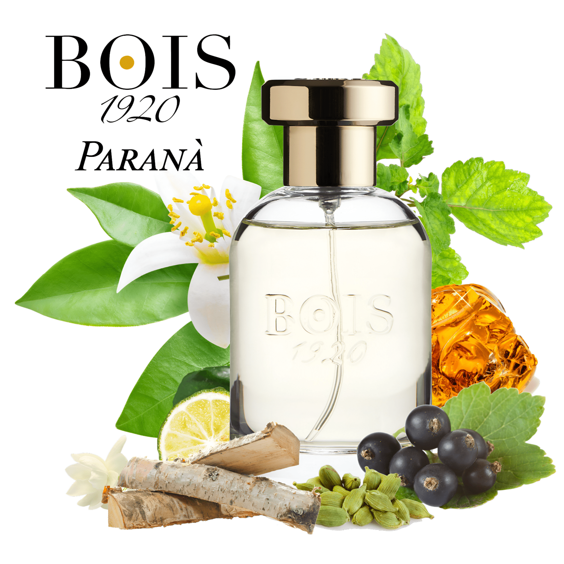 Bois 1920 Sopra Il Mare EDT | My Perfume Shop