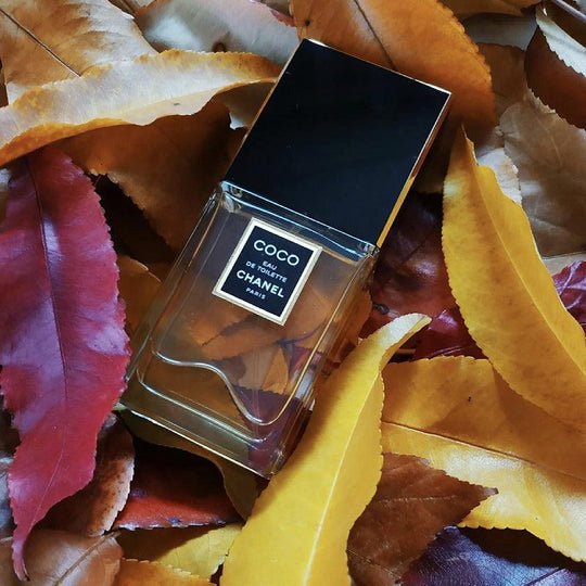 Chanel Coco EDT | My Perfume Shop