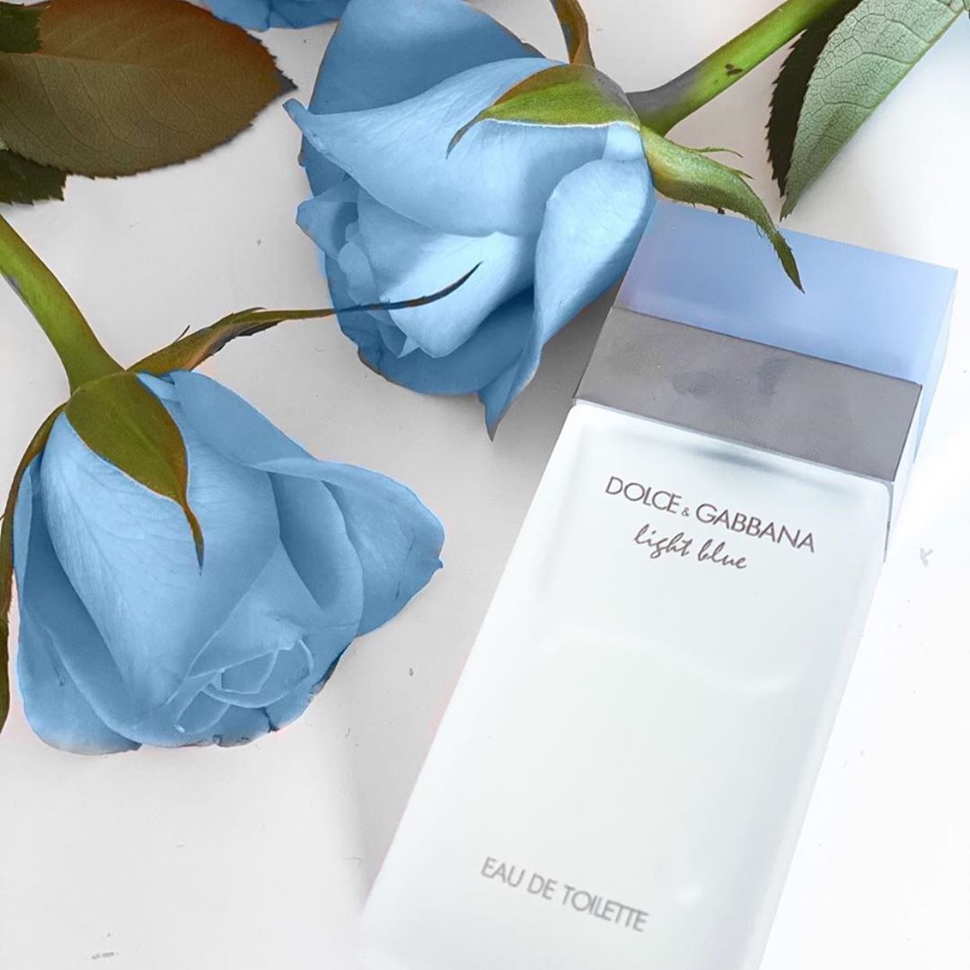 Dolce & Gabbana Light Blue EDT For Her | My Perfume Shop