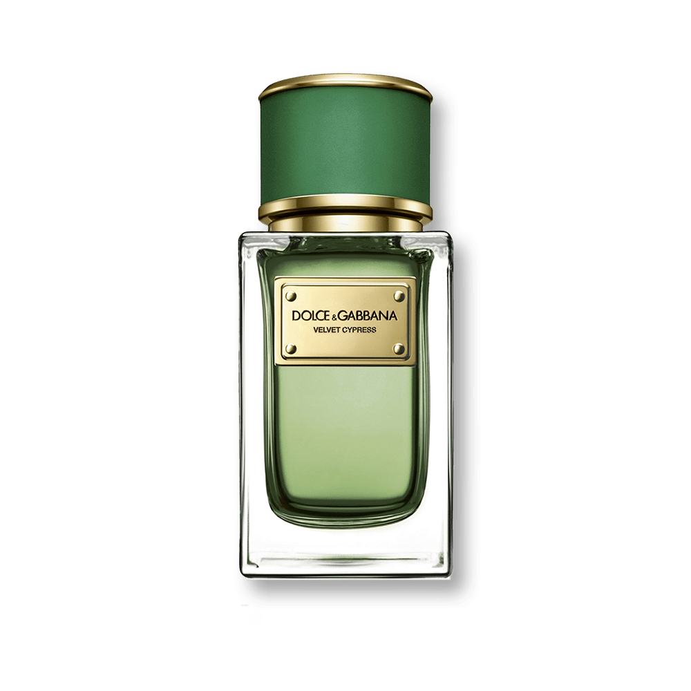 Dolce & Gabbana Velvet Cypress EDP | My Perfume Shop