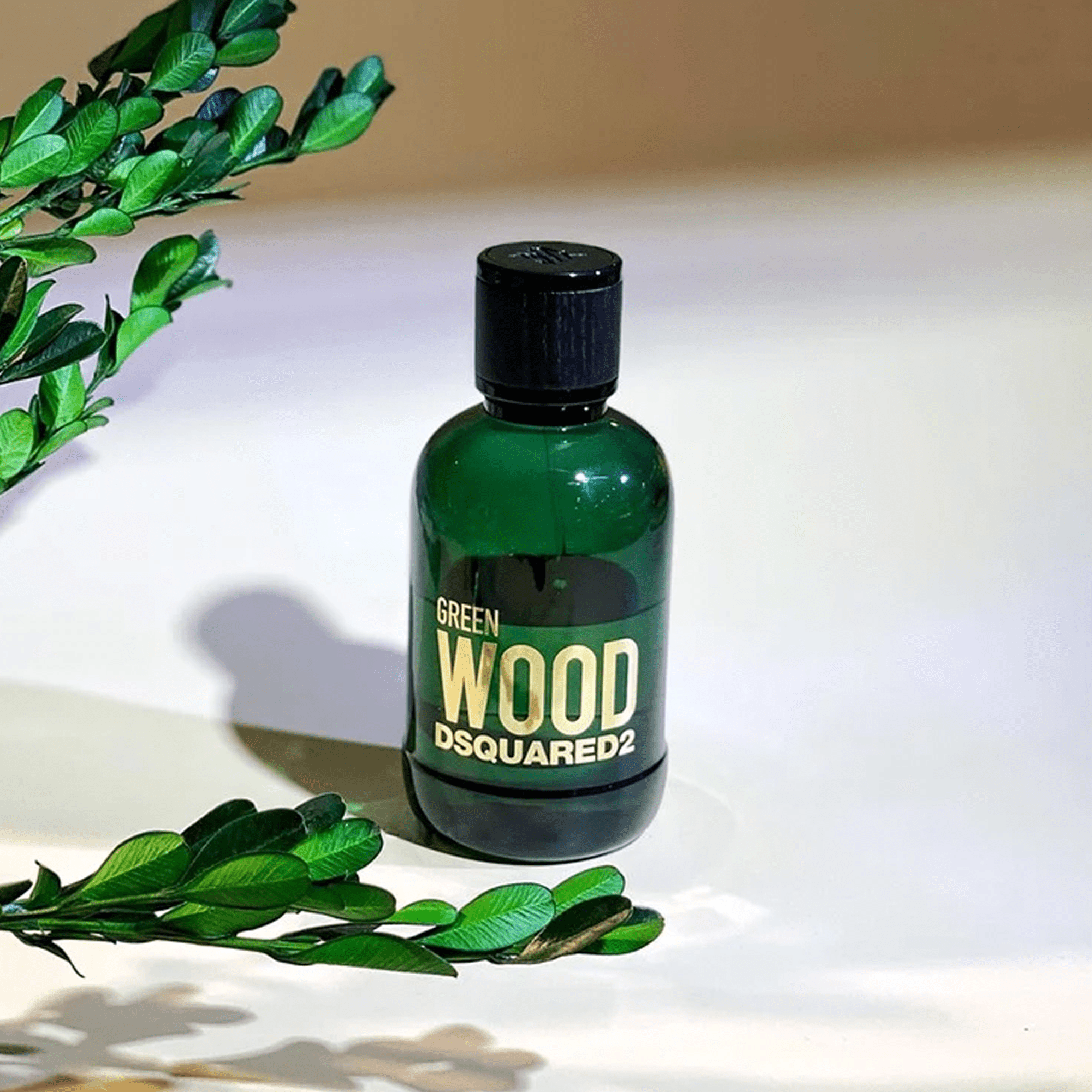 Dsquared2 Green Wood EDT | My Perfume Shop