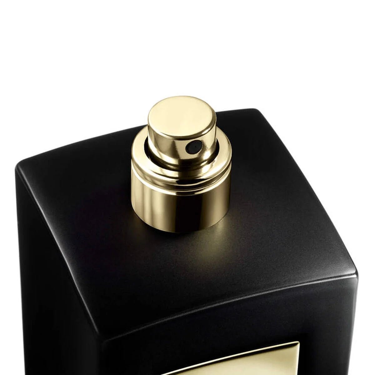 Giorgio Armani Prive Oud Royal EDP Intense | My Perfume Shop