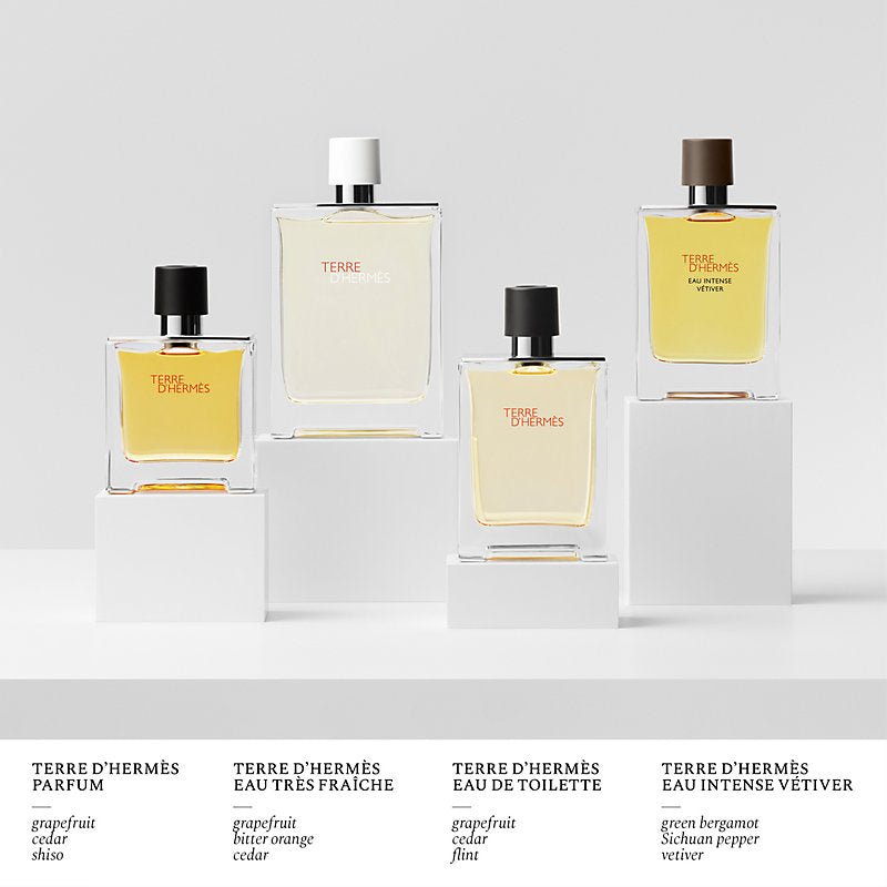 HERMÈS Terre d'HERMÈS Miniature Set | My Perfume Shop