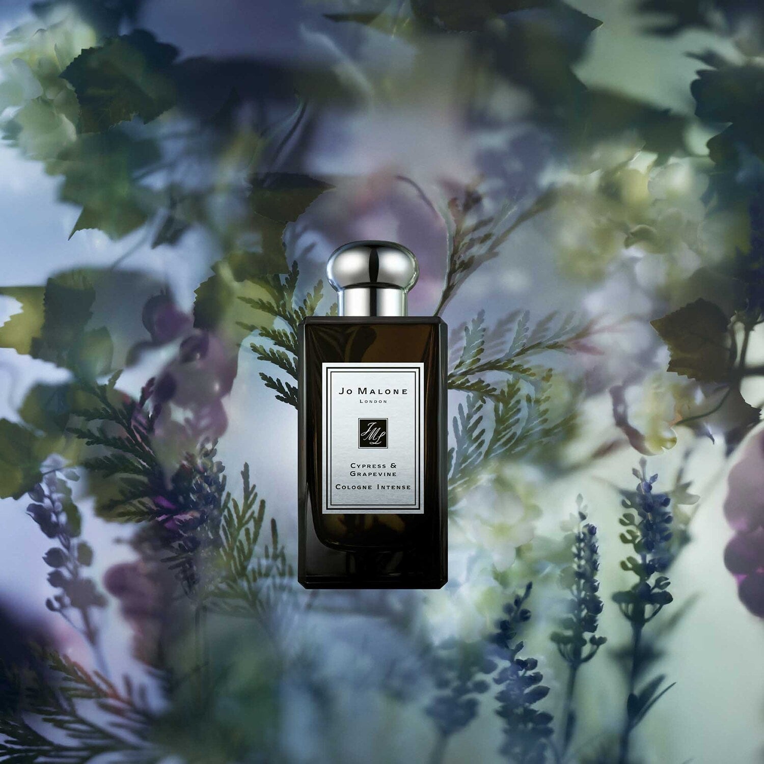 Jo Malone Cypress & Grapevine Intense EDC | My Perfume Shop