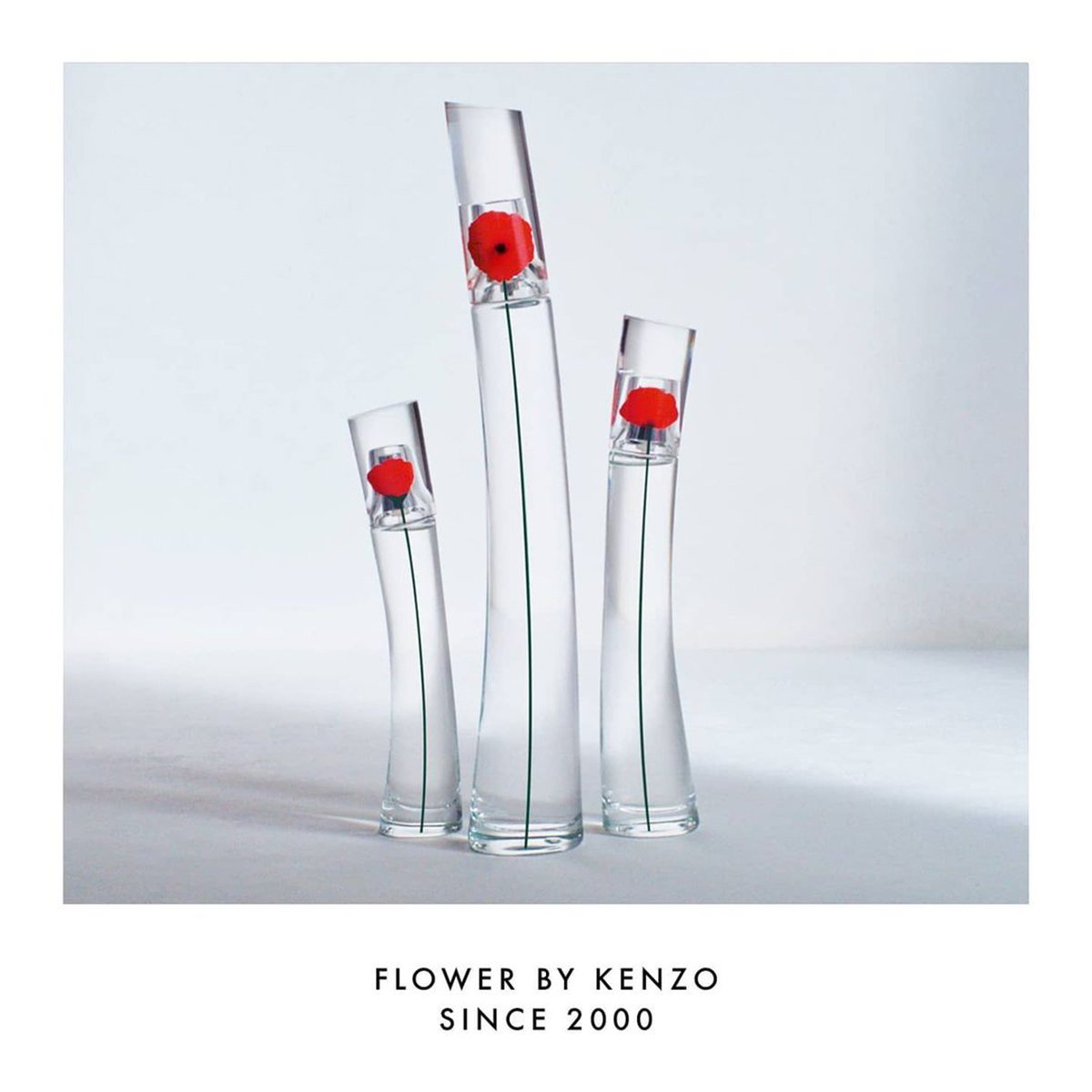 Kenzo Flower EDP | My Perfume Shop