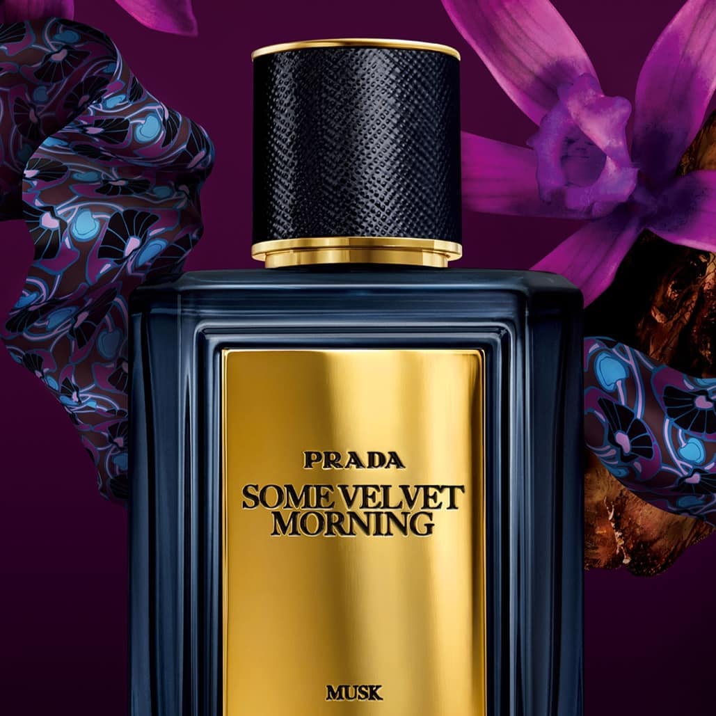 Prada Some Velvet Morning Musk EDP | My Perfume Shop