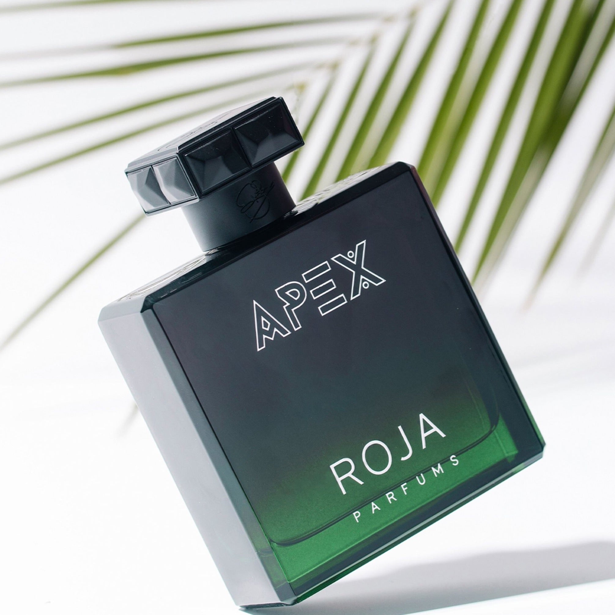 Roja Parfums Apex EDP | My Perfume Shop